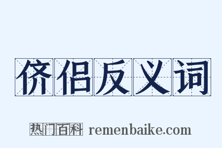 侪侣反义词是什么意思的图片